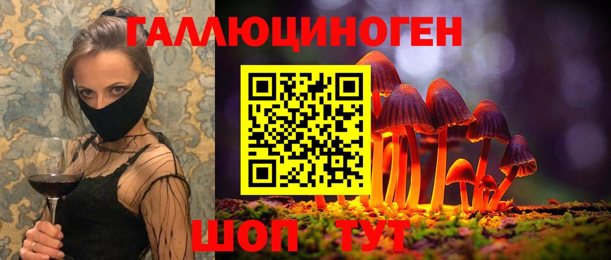 Псилоцибиновые грибы Cubensis Шелехов