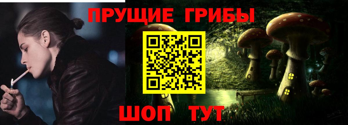 Шелехов  Галлюциногенные грибы прущие грибы  Галлюциногенные грибы ЛСД  Вход с VPN 